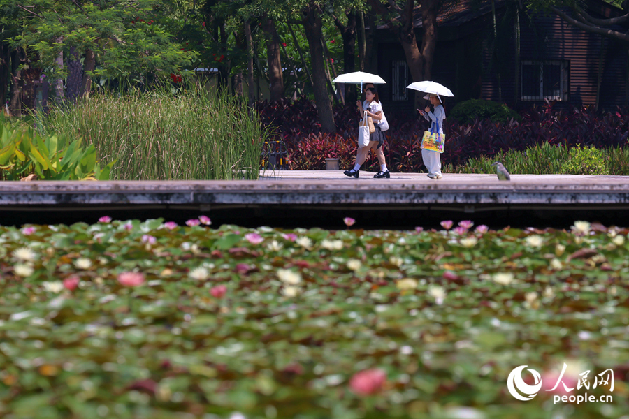 市民游客漫步于蓮池廊道。人民網(wǎng)記者 陳博攝