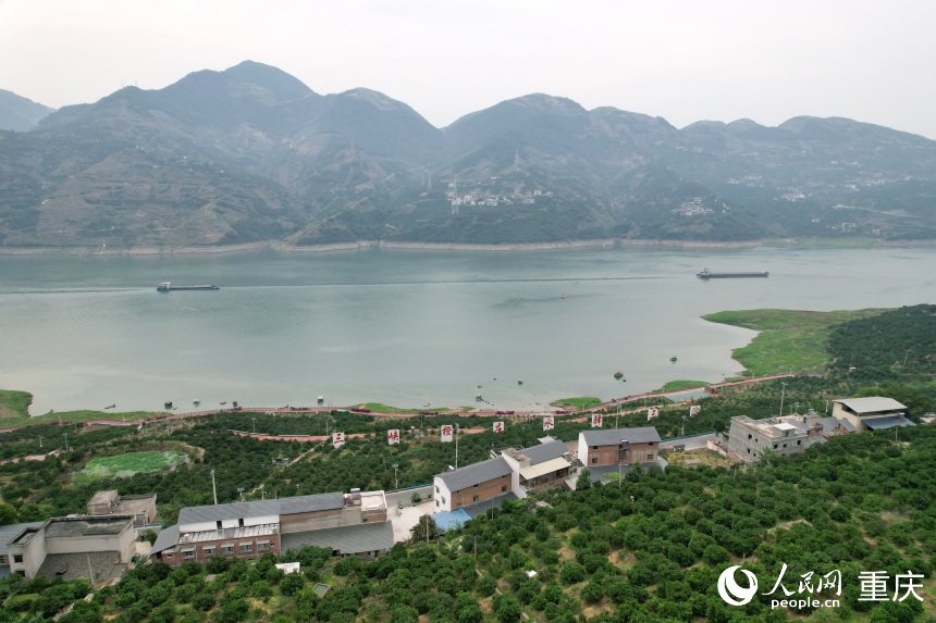 三沱村正以“三峽橙莊”建設(shè)為契機，描繪鄉(xiāng)村振興新圖景。人民網(wǎng)記者 劉政寧攝